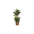 Maranta Silk Plant. HomeStock Industrial Impressions 45In