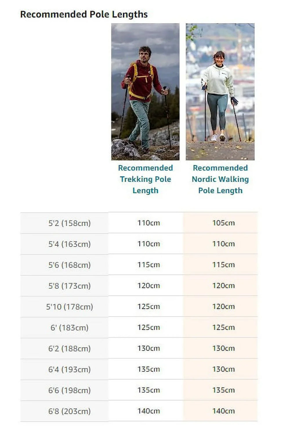 LEKI Nordic Walking Pacer Ultra Lightweight HM Carbon 115cm Silver