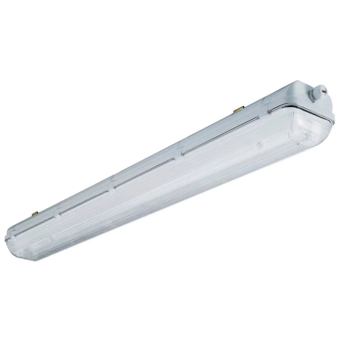 Enclosed Wet Light Fluorescent Fixture. Lithonia Lighting 4ft