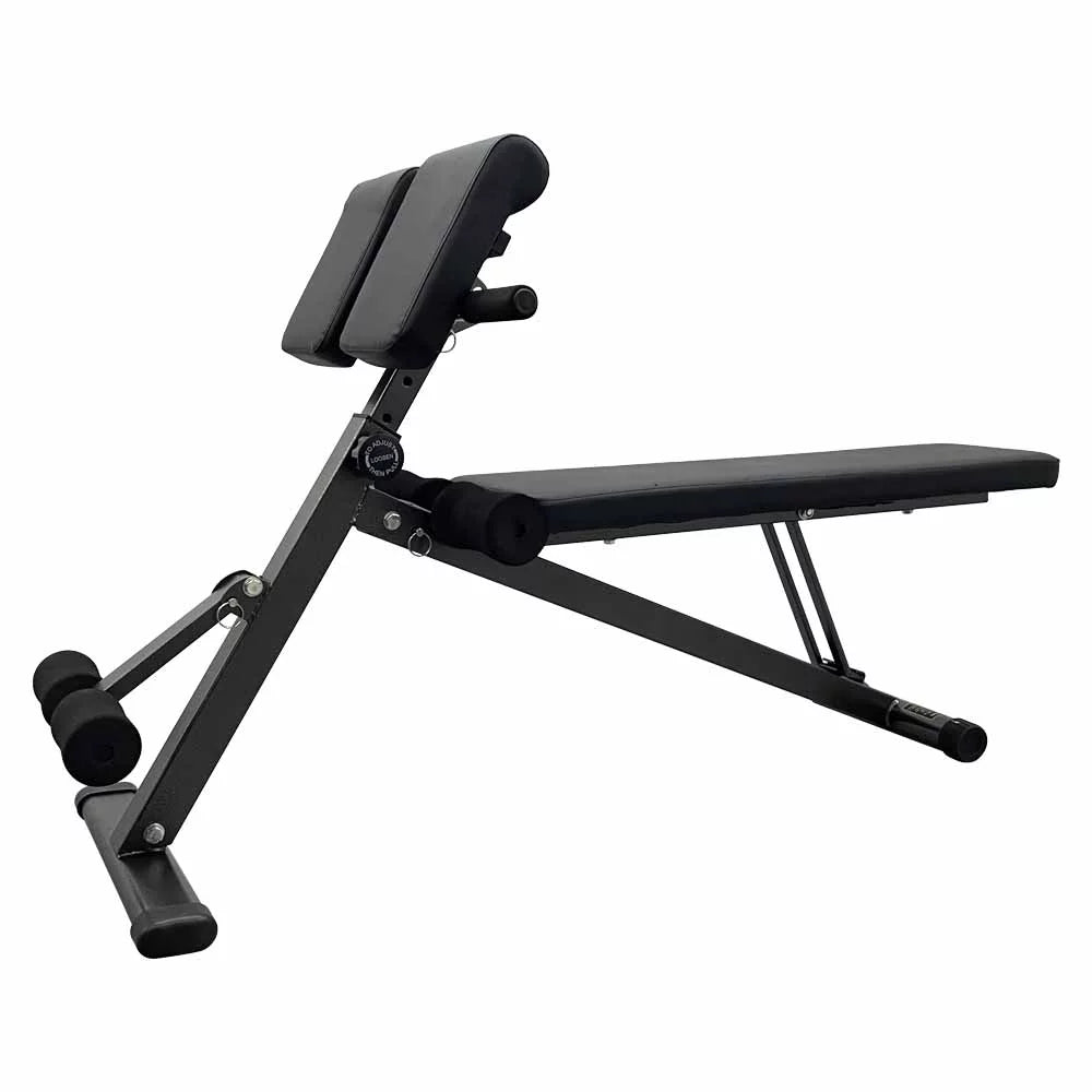INTSUPERMAI Gym Dumbbell Stool Roman Chair Hyper Back Extension Bench Fitness Equipment