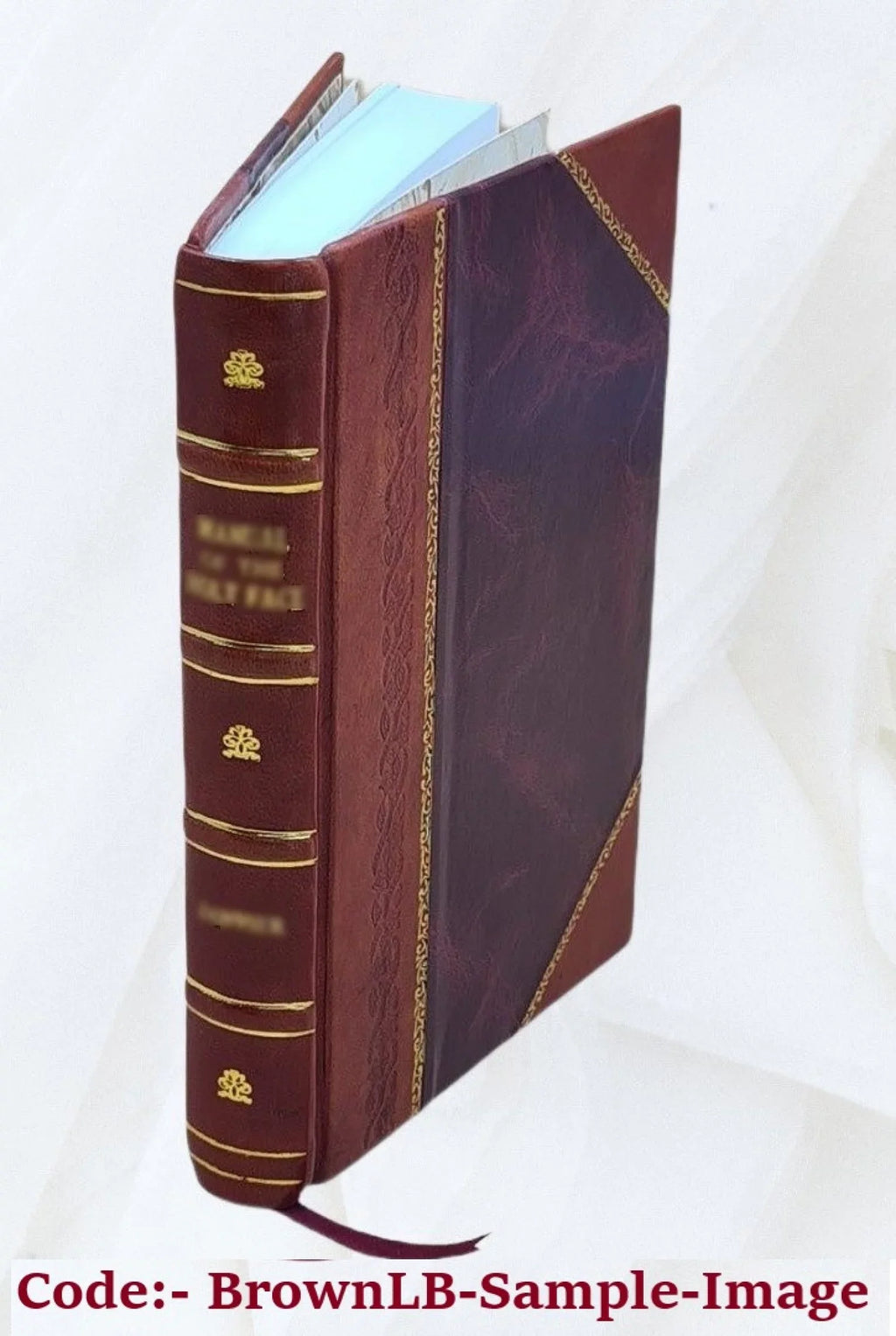 1959 [Leather Bound]. The self-enchanted : Mae Murray : image of an era / Jane Ardmore