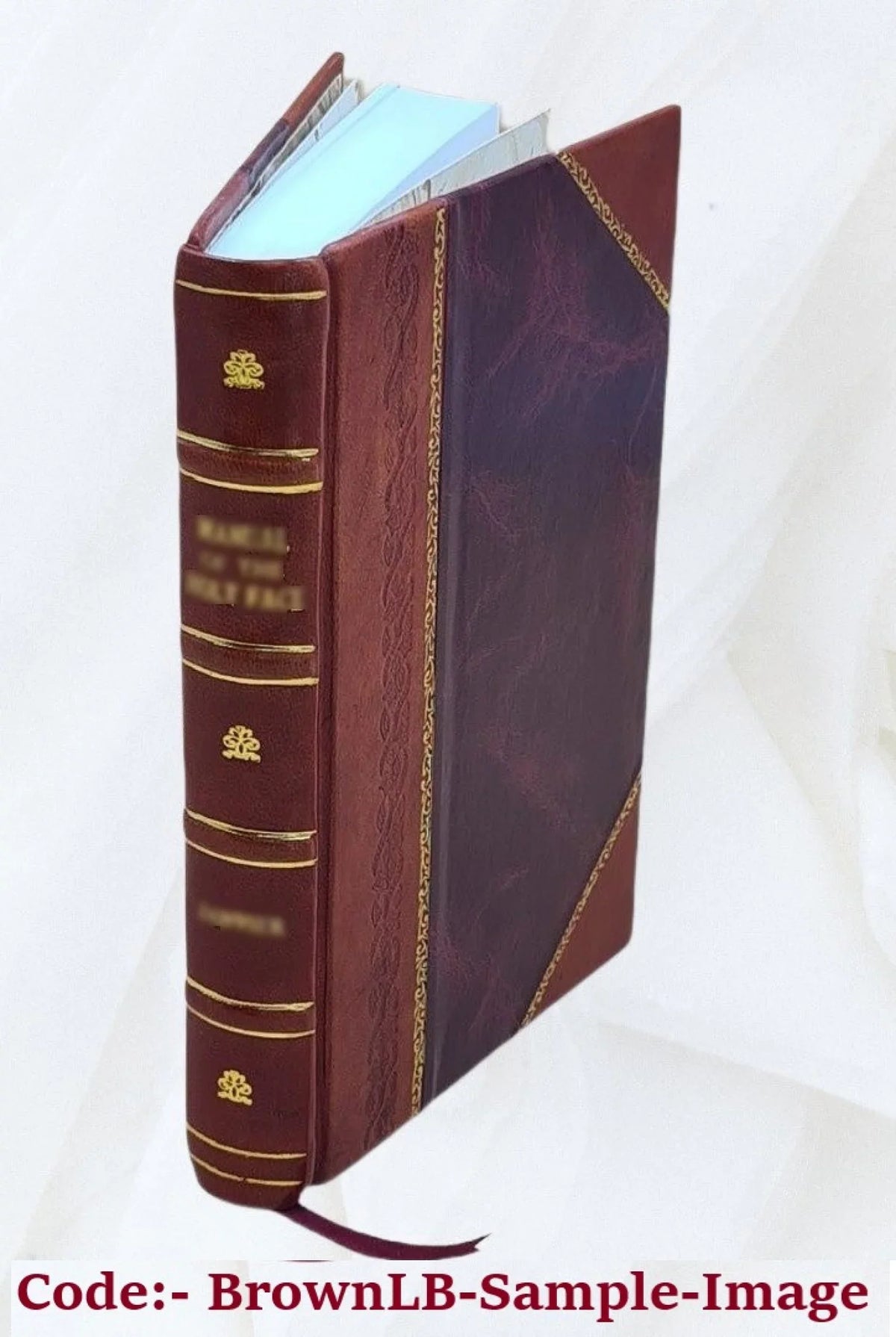 1860 [Leather Bound]. Philosophische Propaedeutik / Robert Zimmermann
